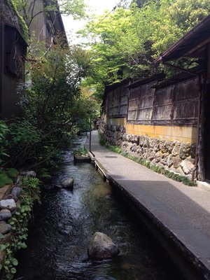 🏞️ 이가와 작은길(이가와 코미치) 이미지 2